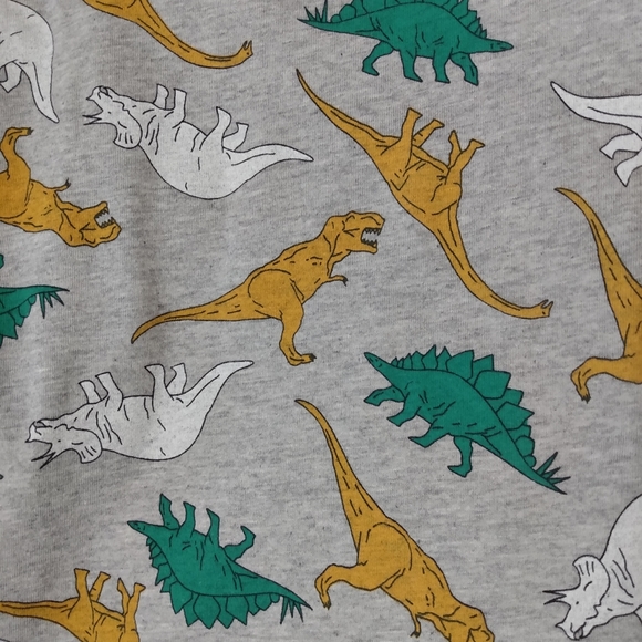 2 Pack of Dinosaur Shirts - Picture 3 of 4